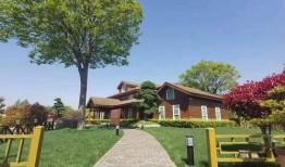 宜昌爆料通道最新消息查询,最新动态盘点，揭秘城市热点事件